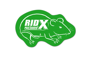 Rat/Mouse Vinyl Jar Opener