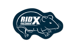 Rat/Mouse Vinyl Jar Opener