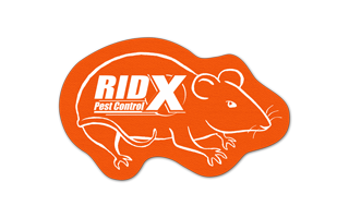 Rat/Mouse Vinyl Jar Opener