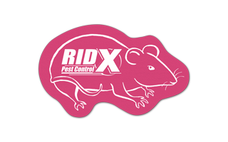 Rat/Mouse Vinyl Jar Opener