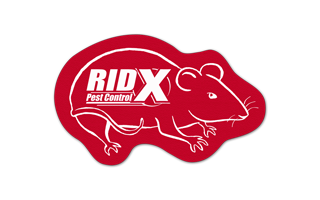 Rat/Mouse Vinyl Jar Opener