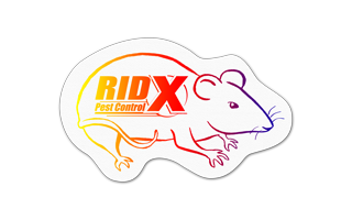 Rat/Mouse Vinyl Jar Opener