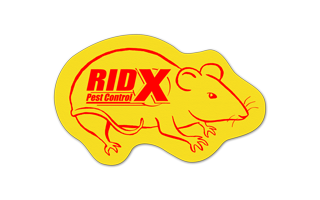 Rat/Mouse Vinyl Jar Opener